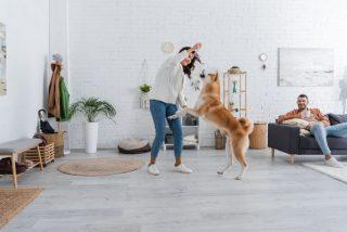 safe flooring for dogs
